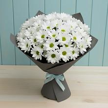 Букет цветов из:  Хризантемы #REPLACE_PRED# Пролетарском Белгородской области