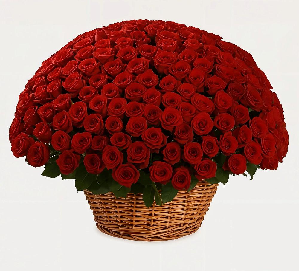 Премиум букет из: Розы в Пролетарском Белгородской области