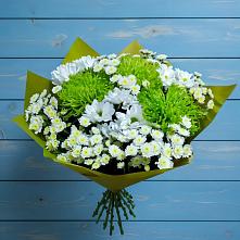 Букет цветов из:  Хризантемы в Пролетарском Белгородской области