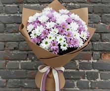 Букет цветов из:  Хризантемы в Пролетарском Белгородской области