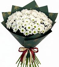 Букет цветов из:  Хризантемы в Пролетарском Белгородской области