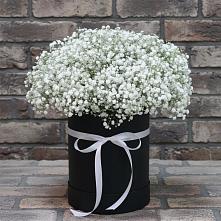 Цветочная композиция из Гипсофила в шляпной коробке в Пролетарском Белгородской области