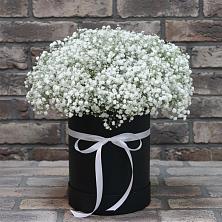 Цветочная композиция из Гипсофила в шляпной коробке в Пролетарском Белгородской области