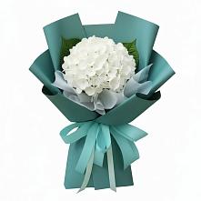 Букет цветов из:  Гортензия в Пролетарском Белгородской области